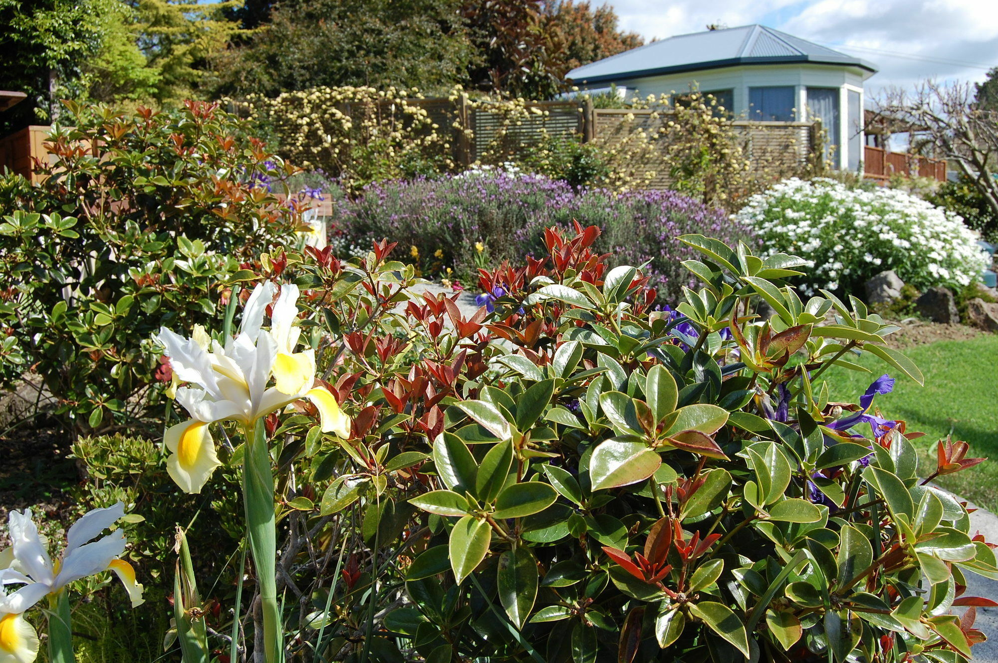Te Awa Lodge Paihia Ngoại thất bức ảnh