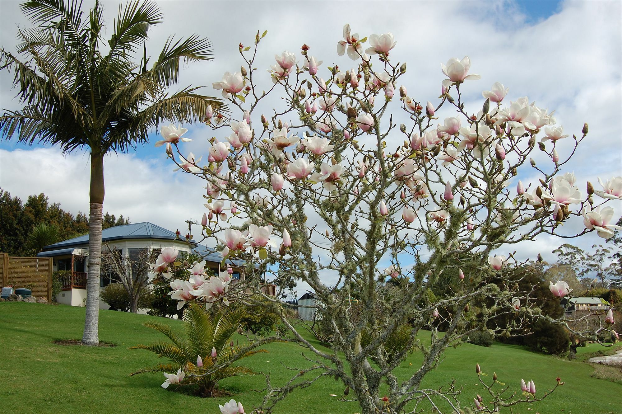 Te Awa Lodge Paihia Ngoại thất bức ảnh